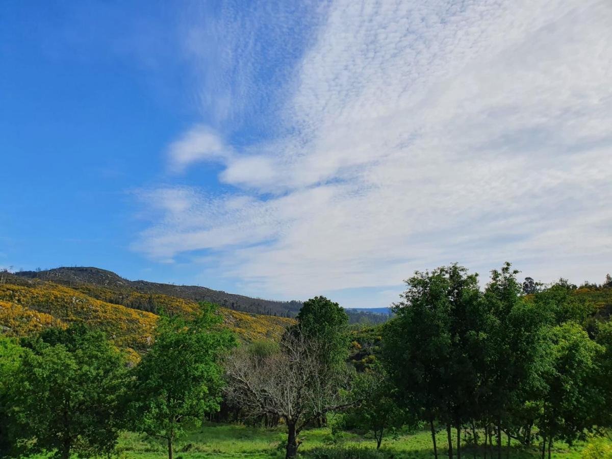 Villa Quinta De Cerdeiro Moes Esterno foto
