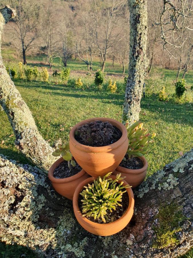 Villa Quinta De Cerdeiro Moes Esterno foto
